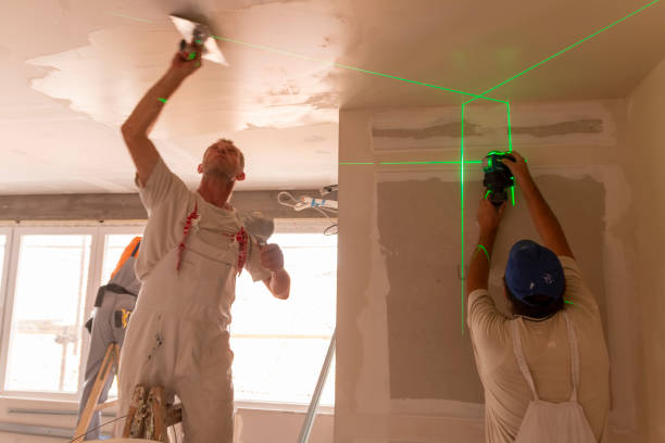 Best Drywall Finishing  in USA